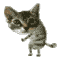ckpumkO